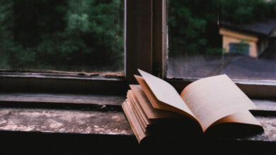 The Crime Books Top Authors Read Twice Because They’re Just That Good    ‹ CrimeReads